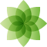 zedring.com